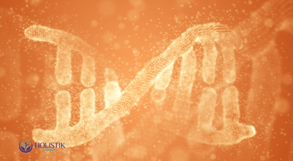 Folik Asit Ne İşe Yarar? 