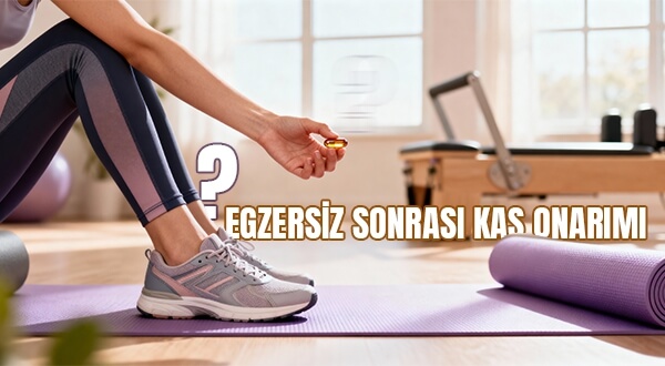 Hangi Takviyeler Egzersiz Sonrası Kas Onarımını Hızlandırır?