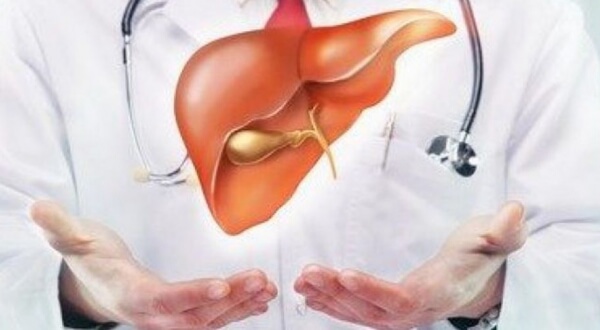 Karaciğer Safra Detoksu Nasıl Yapılır ?