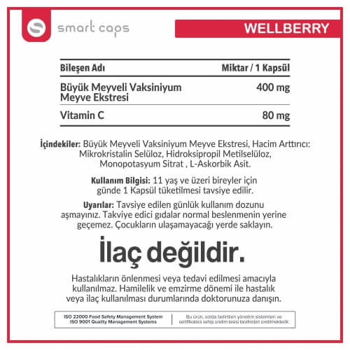Smartcaps Wellberry Cranberry Fruit Extract 30 Kapsül