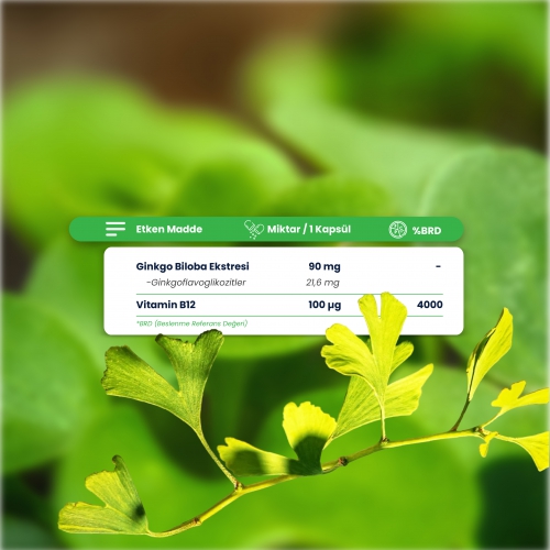 Smart Caps Ginkgo Biloba + B12 60 Kapsül
